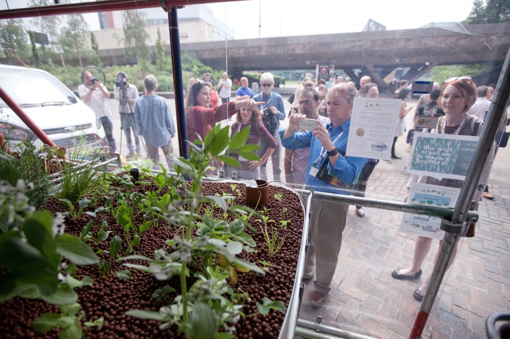 Aquaponics: why bother? (Part&nbsp;1)