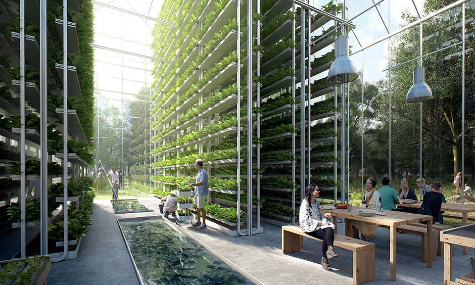 ReGen Village Netherlands Aquaponics